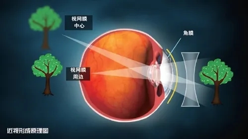 中国·永利yl23455(股份)有限公司-官方网站